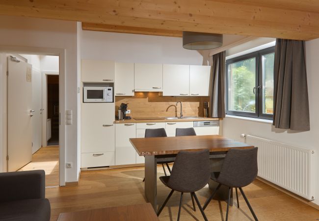 Apartment in St. Gallenkirch - Cirrus Apartment with sauna in the Chalet-Resort |8 | 4808