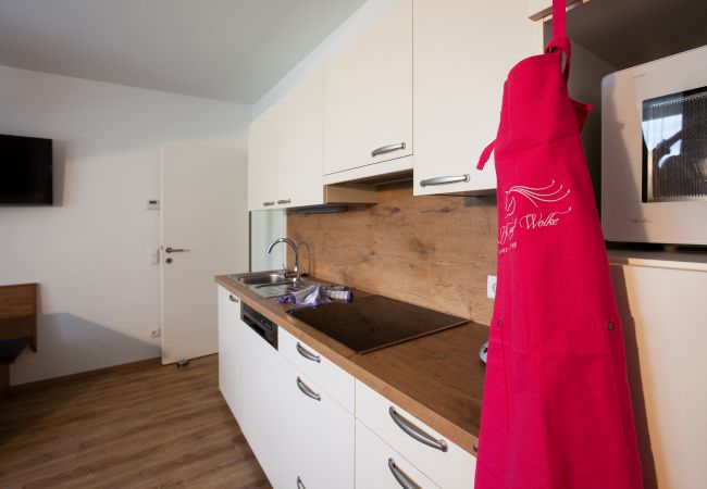 Küche Cirrus Apartment im Chalet-Resort Küche Cirrus Apartment im Chalet-Resort